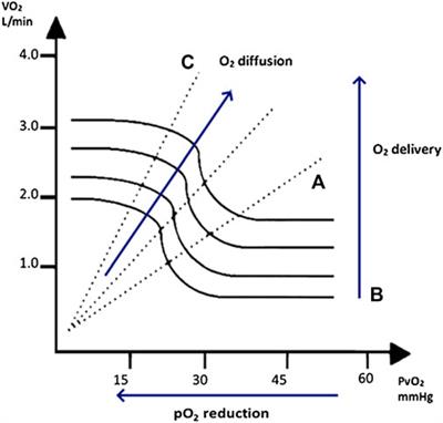 Editorial: Exercise and heart failure